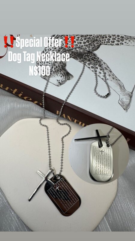 ‼️Special Offer‼️Dog Tag Necklace N$100