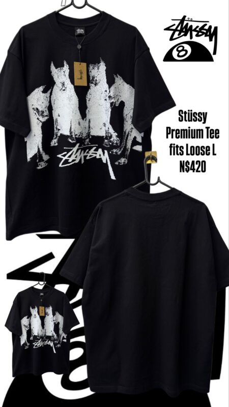 Stüssy Premium Tee fits Loose L N$420